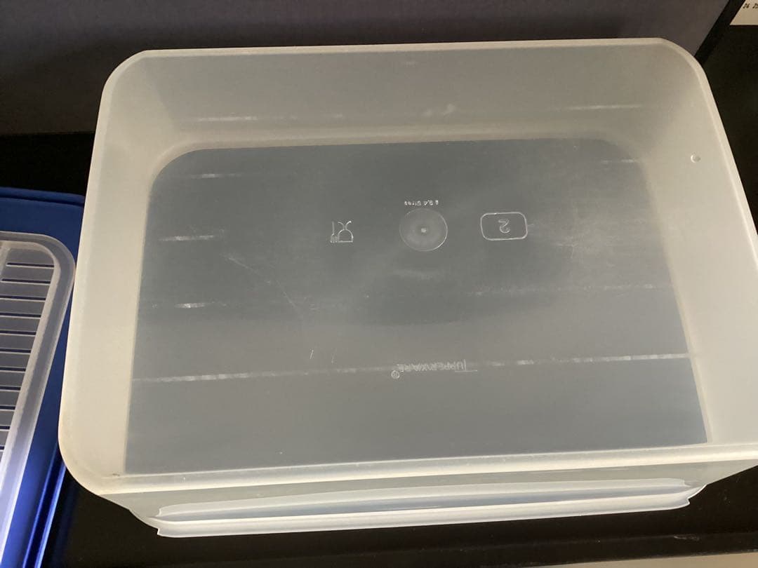 希少‼️タッパーウェア 大　すのこ付