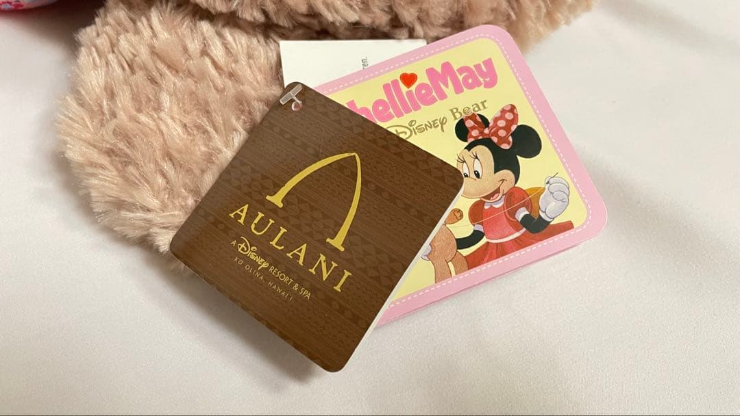 激レア シェリーメイ　リュック　アウラニ　ハワイ【送料無料】