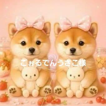 ごぉるでんうさこ様確認用