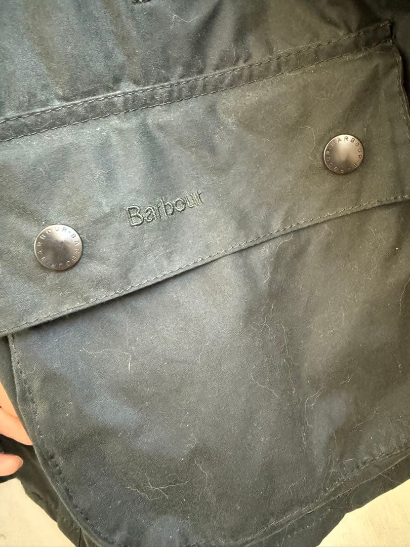 【カエル】バブアー　ビデイル