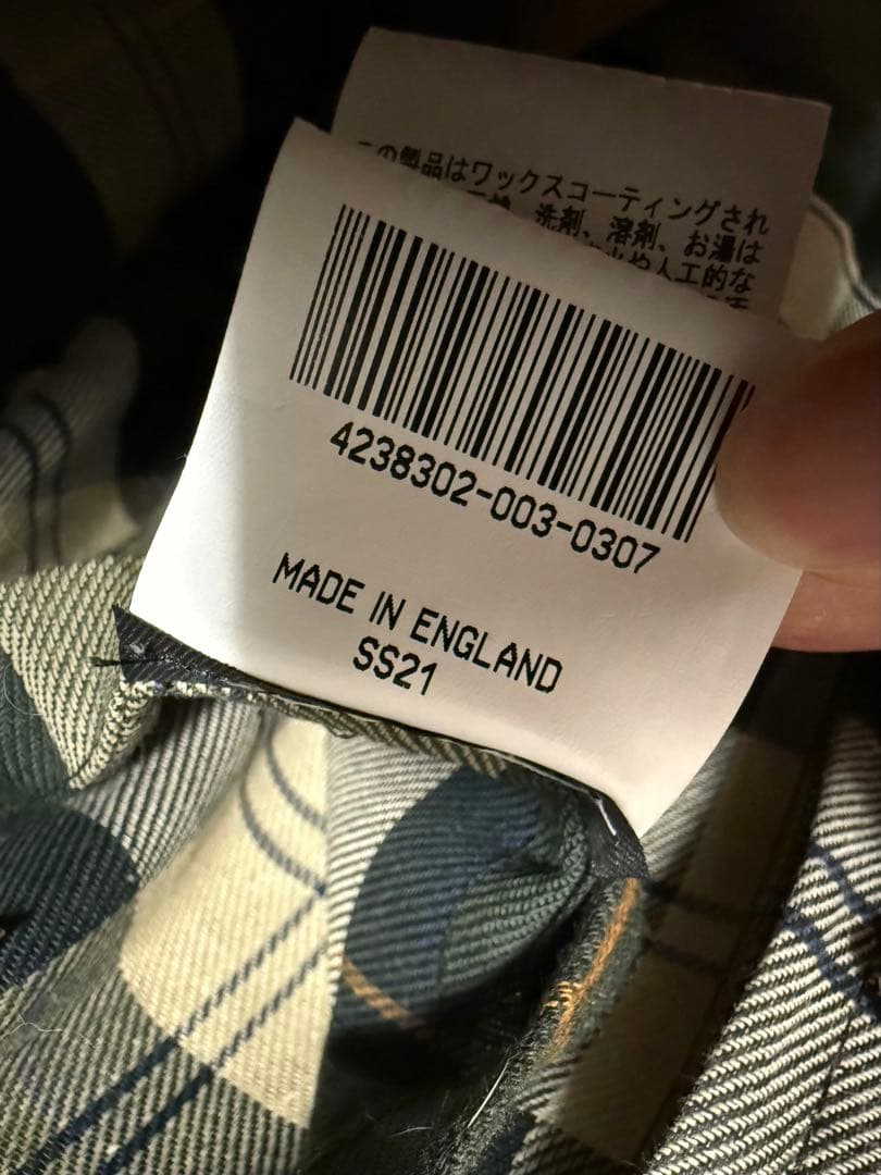 【カエル】バブアー　ビデイル