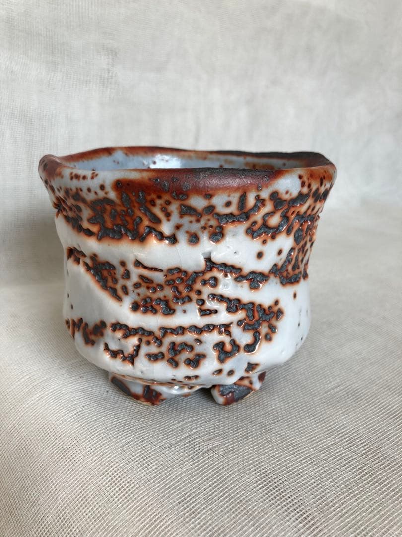 木戸貞昭／赤志野茶碗／B15