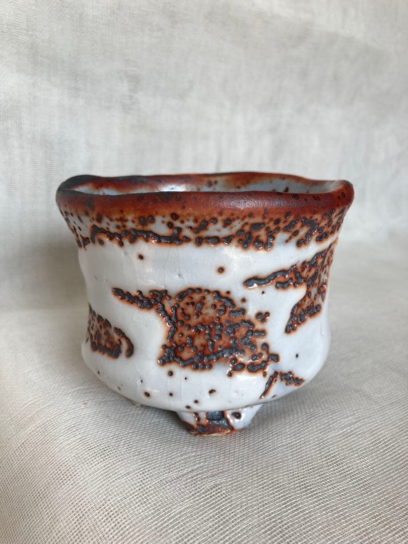 木戸貞昭／赤志野茶碗／B15