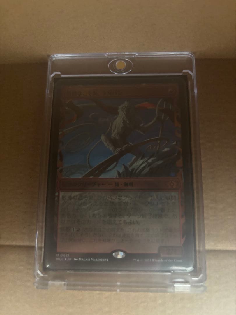 敏捷なこそ泥、ラガバン　foil