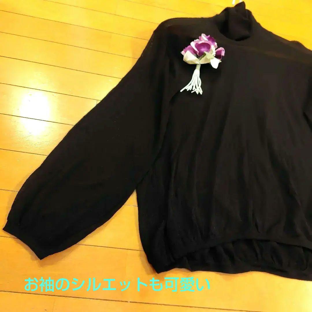 専用レリアン近年モデル 薄手 シアー感黒長袖ニットプルオーバートップス11L