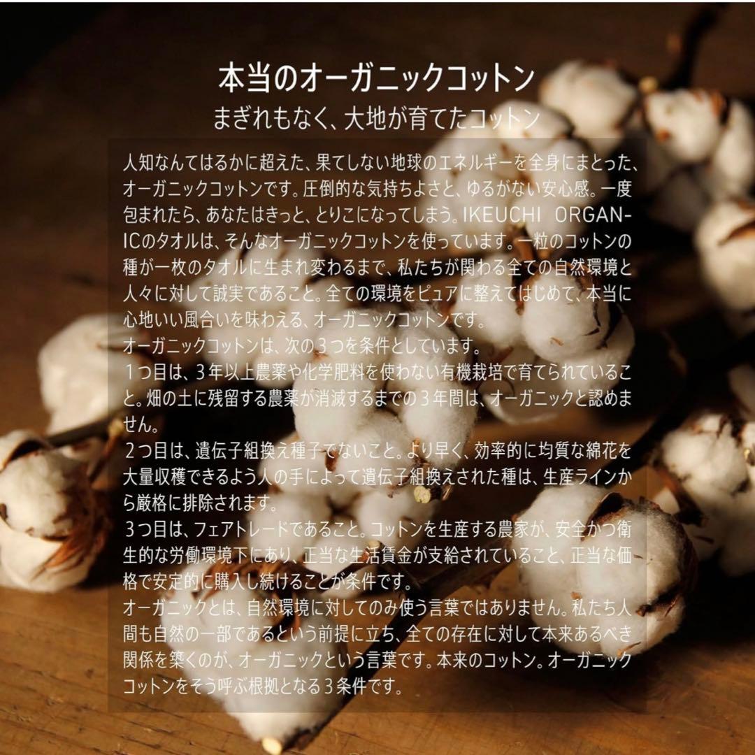 ★¥34,452- イケウチオーガニックI 240 フラットシーツ　クイーン★