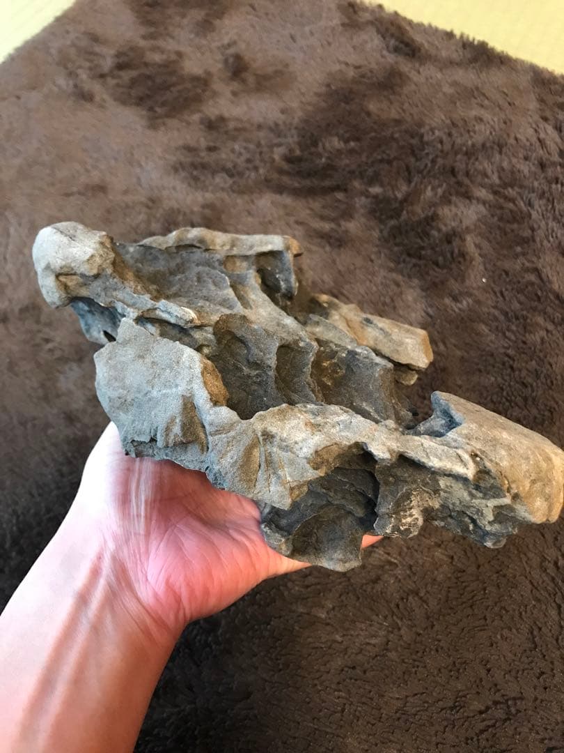 水石　鑑賞石　豊似石　自然石　翡翠　水盤　ジャスパー　鉱物　瀬田川石　加茂川石