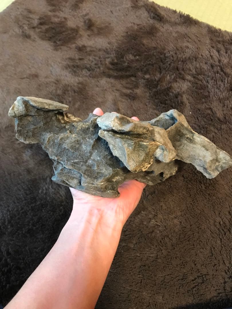 水石　鑑賞石　豊似石　自然石　翡翠　水盤　ジャスパー　鉱物　瀬田川石　加茂川石