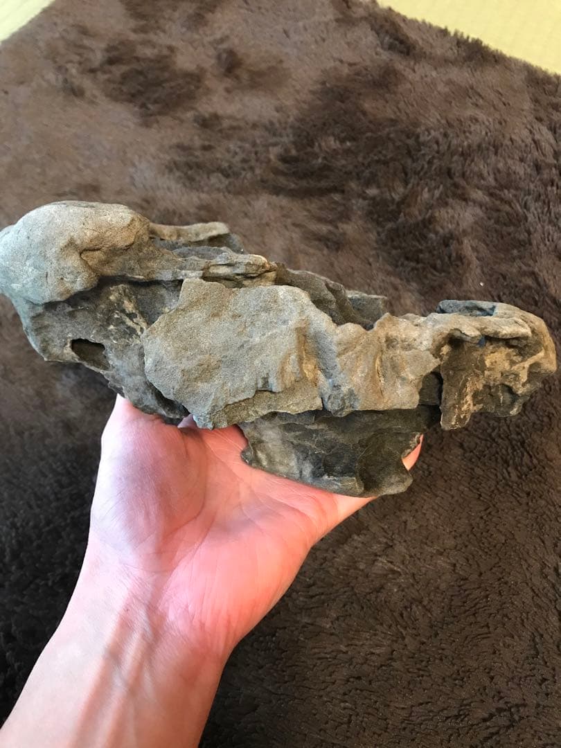 水石　鑑賞石　豊似石　自然石　翡翠　水盤　ジャスパー　鉱物　瀬田川石　加茂川石