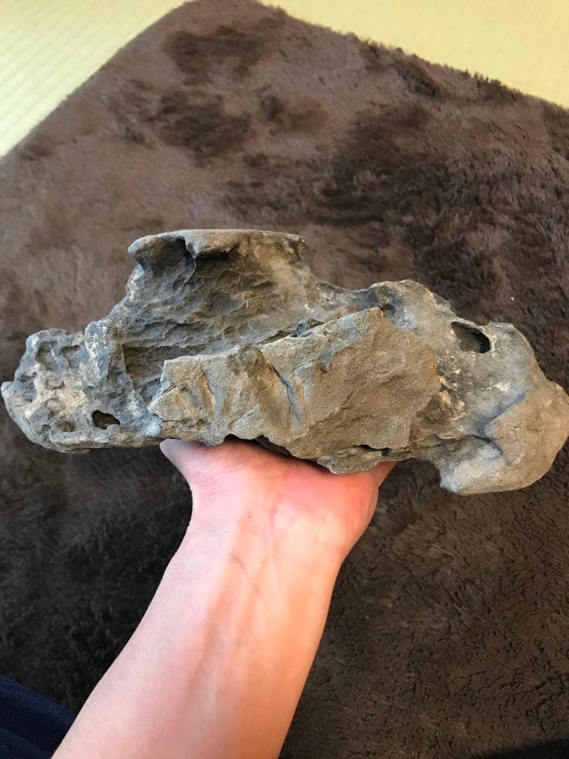 水石　鑑賞石　豊似石　自然石　翡翠　水盤　ジャスパー　鉱物　瀬田川石　加茂川石