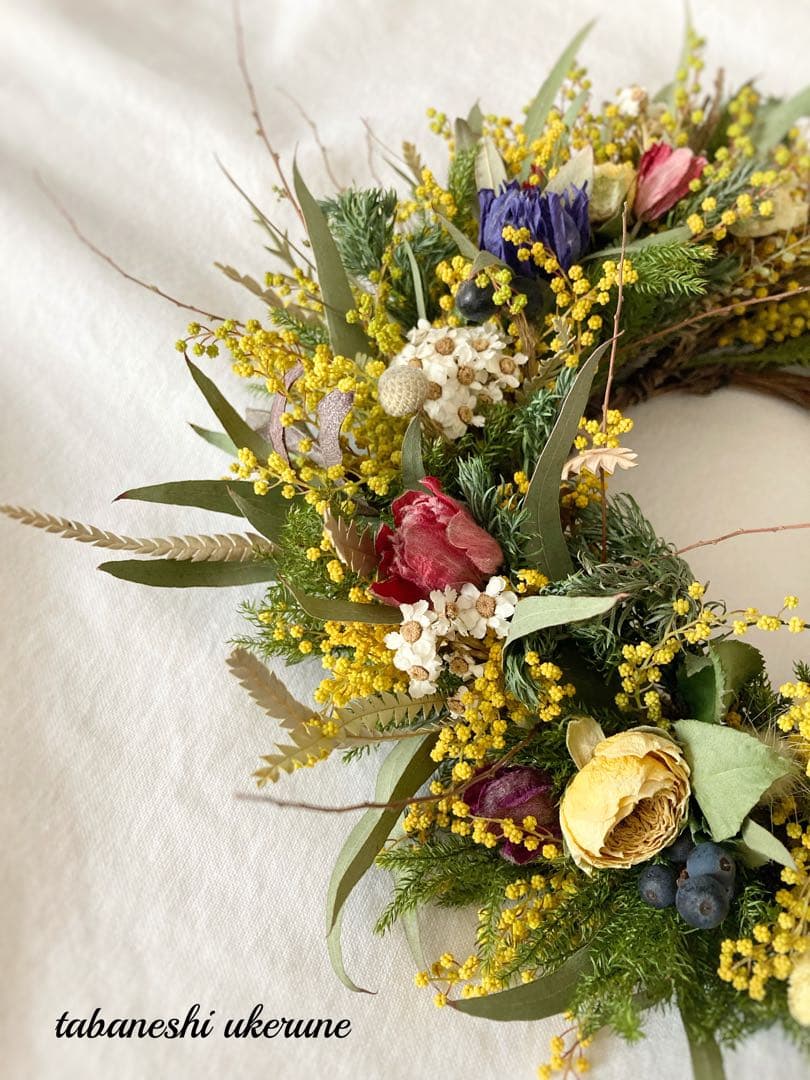 春爛漫　瀬戸内ミモザとアネモネを紡いだ春を呼ぶ　ハーフ　リース　ドライフラワー
