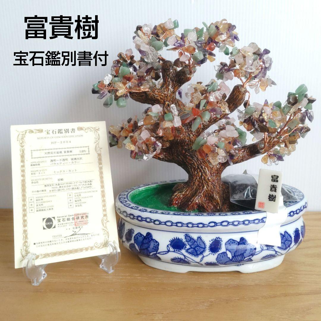 富貴樹 天然石 パワーストーン 鑑別書付 未使用／縁起 開運 金運 恋愛 セール