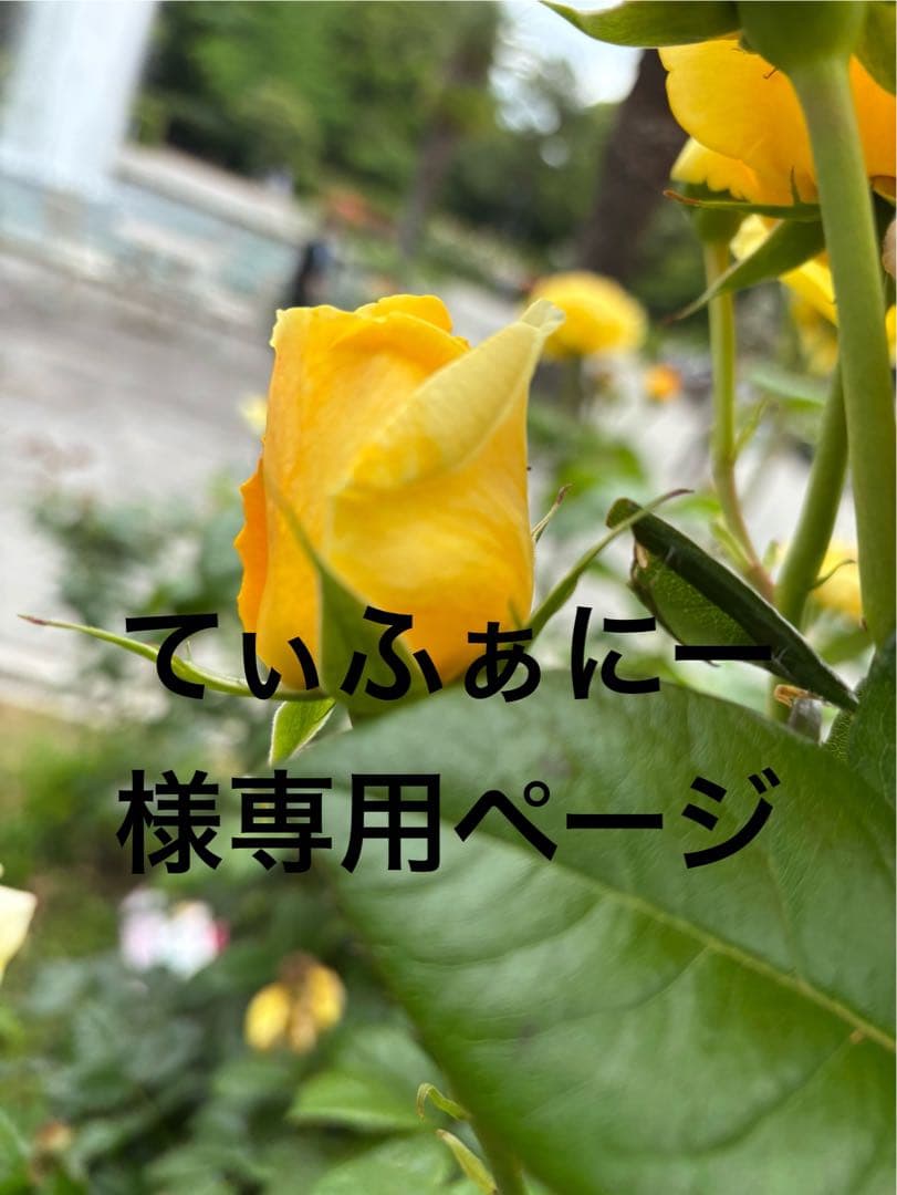 てぃふぁにーページ