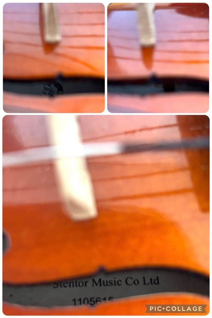 ステンター　バイオリン　1/16