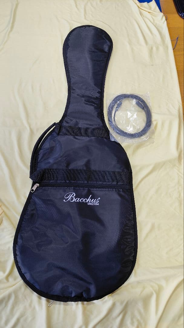 2ヶ月前に購入 新品同様Bacchus テレキャスター ギターケース シールド付