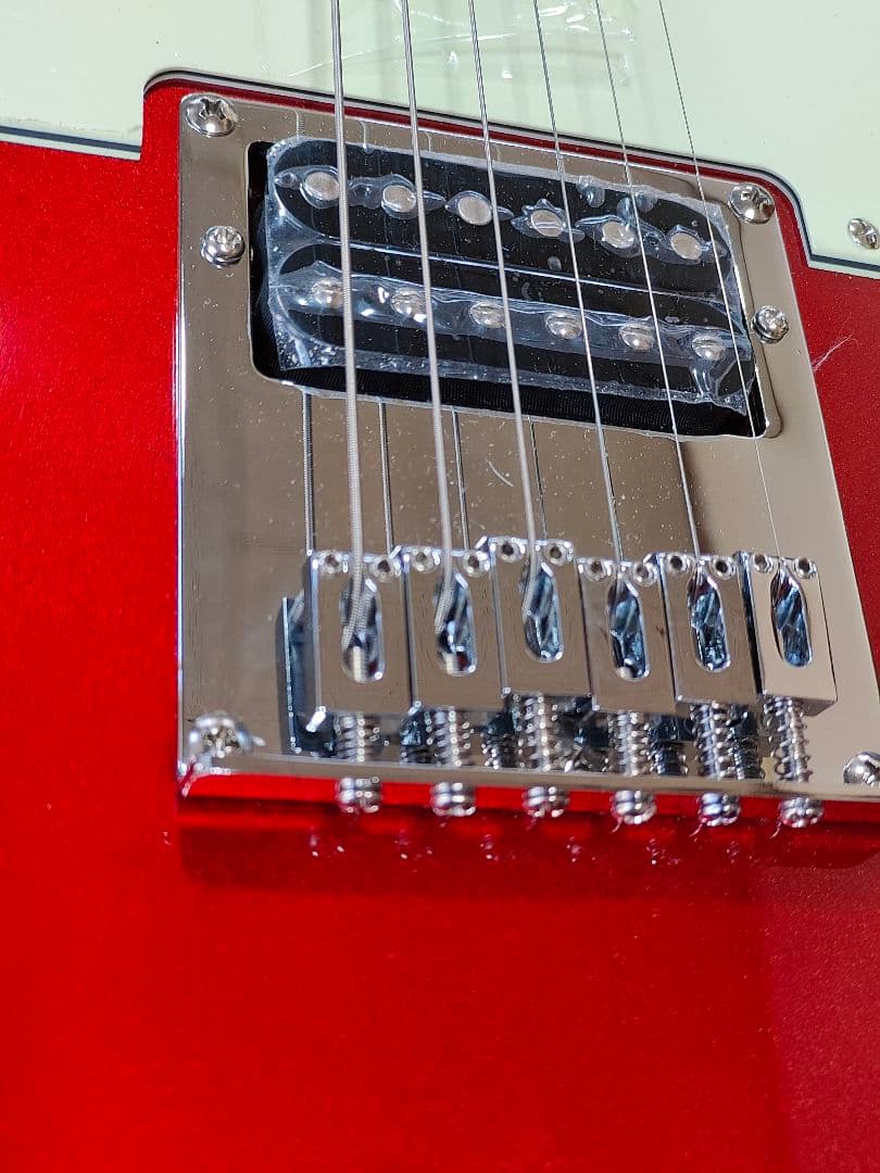 2ヶ月前に購入 新品同様Bacchus テレキャスター ギターケース シールド付