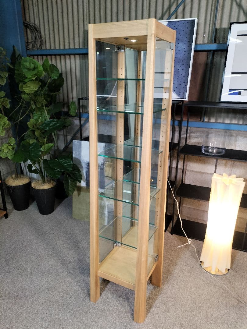 直接引取 CondeHouse ミニキュリオ ショーケース 展示品(464)