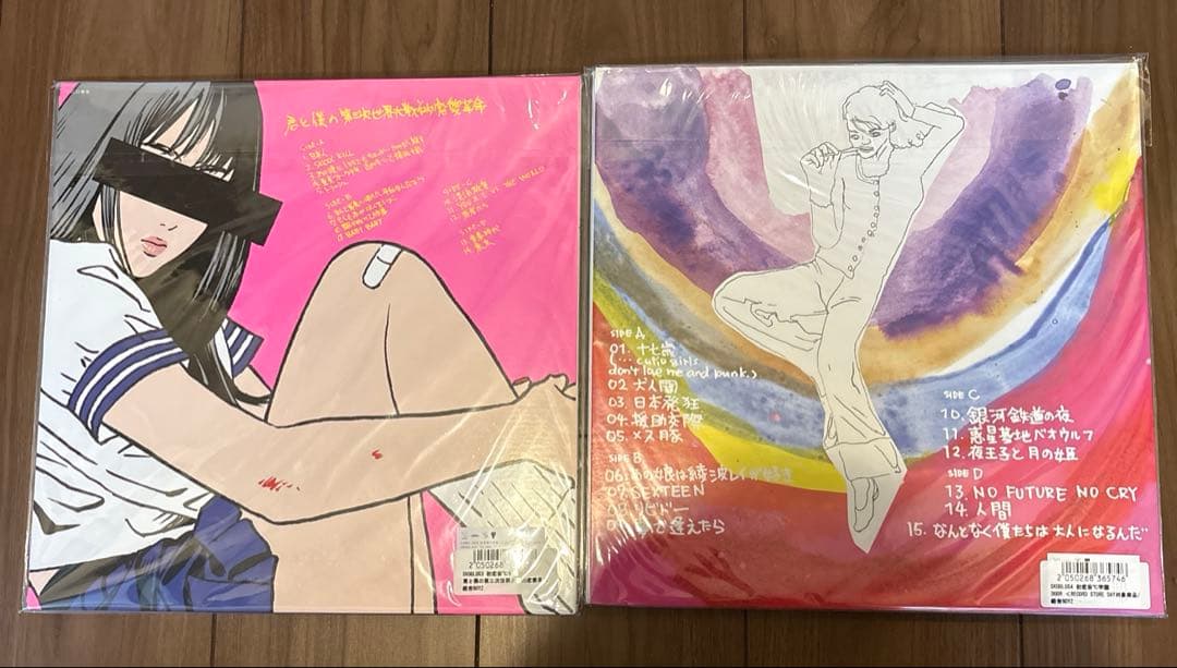 新品　銀杏BOYZ 君と僕の第三次世界大戦的恋愛革命 DOOR レコード