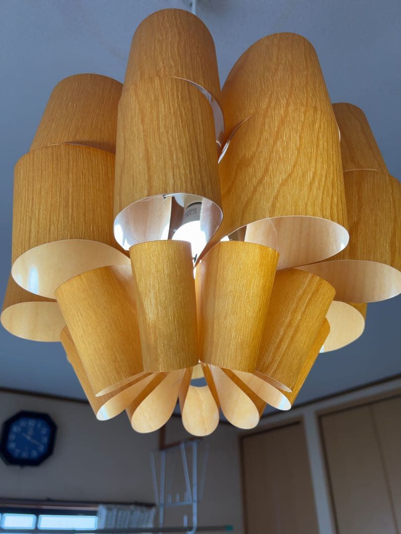 谷俊幸　シーリングライト