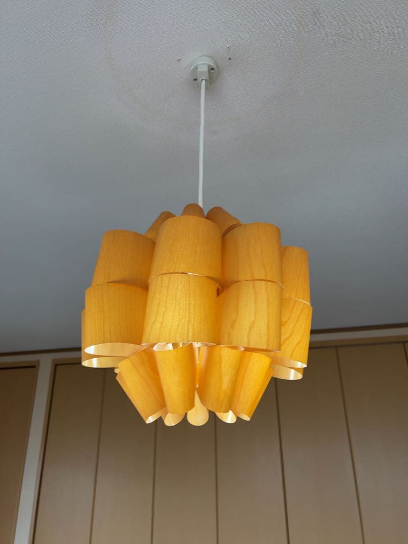 谷俊幸　シーリングライト