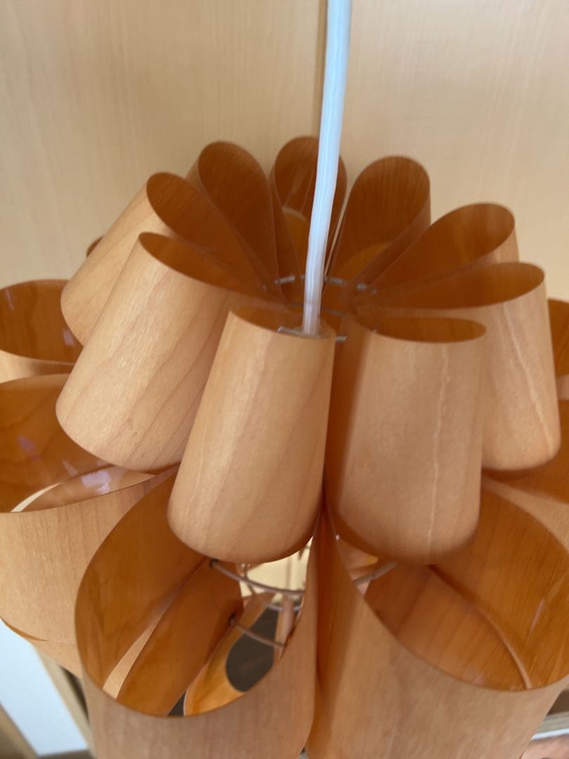 谷俊幸　シーリングライト