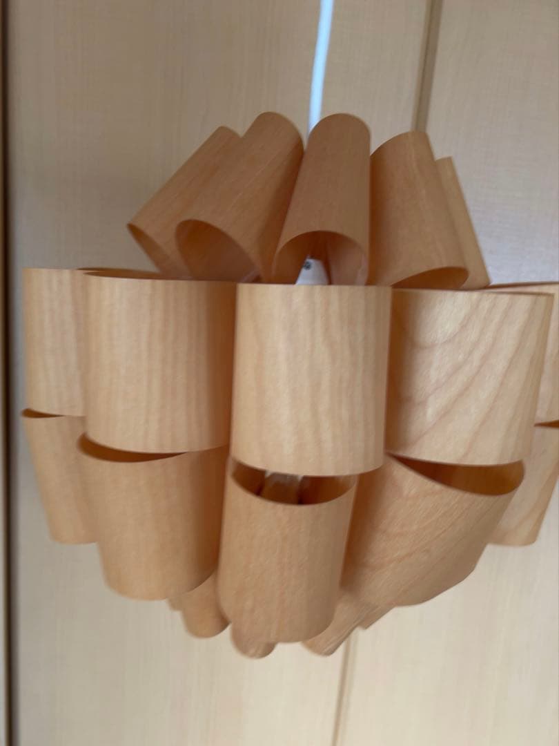 谷俊幸　シーリングライト