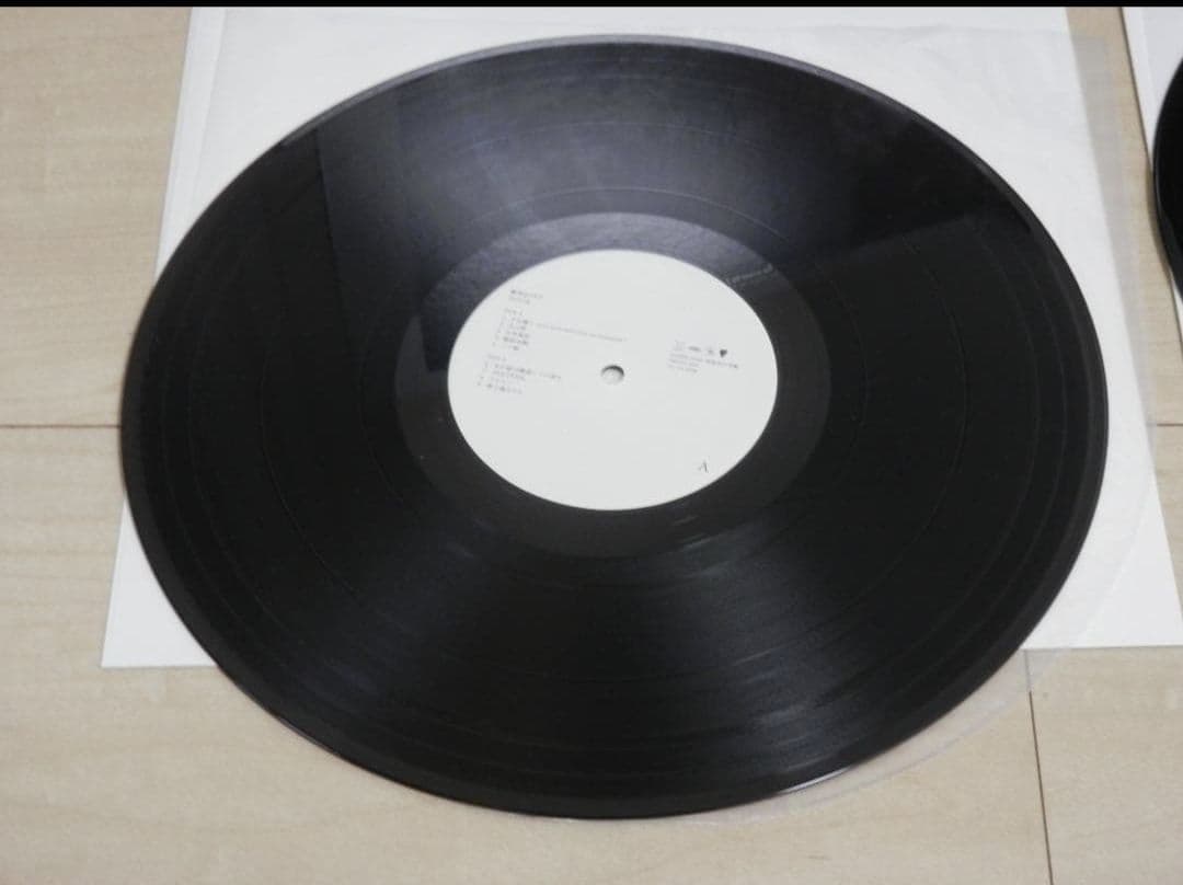 銀杏BOYZ DOOR アナログ レコード 帯付き 2枚組 美品 LP