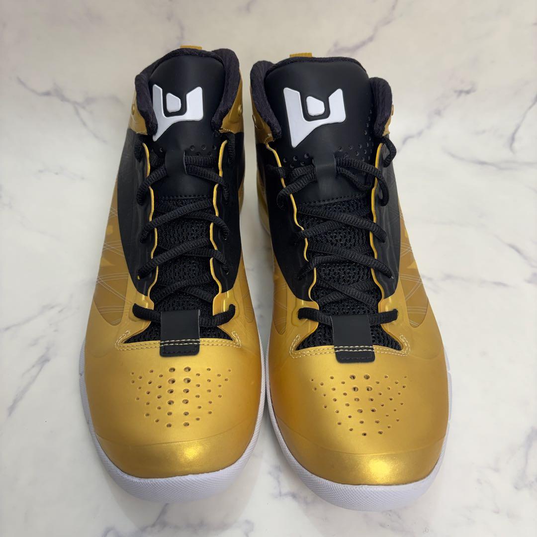 【新品未使用】JORDAN FLY WADE 2 EV 28.5