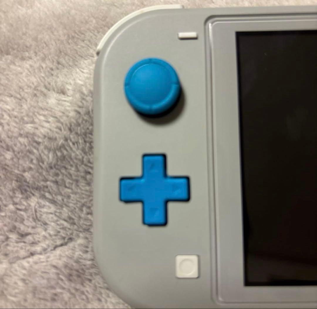 Nintendo Switch Lite ポケモンデザイン 充電器付き