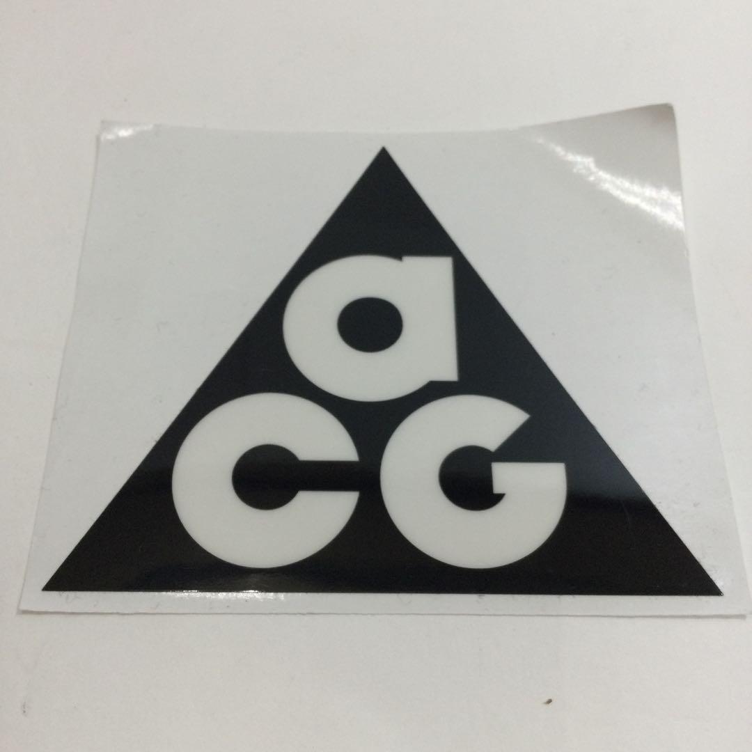 靴 NIKE ACG Mountain FLY2 LOW 77251014N03S