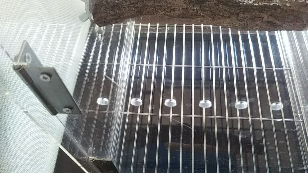 アクリル製キャリーケース L　大型インコ、オウム　バードモア