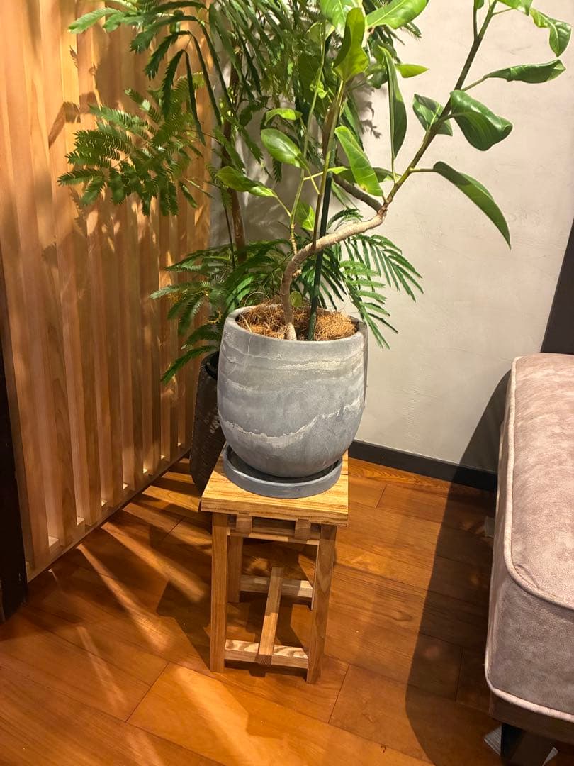 一点物　無垢材スツール