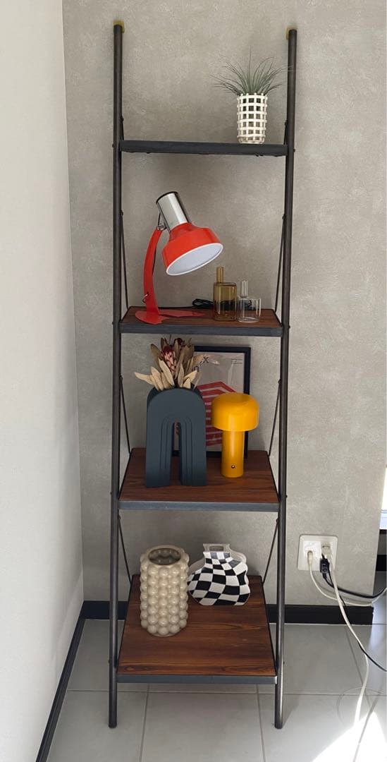 JOURNAL STANDARD FURNITURE ☆ シノンラダーシェルフ