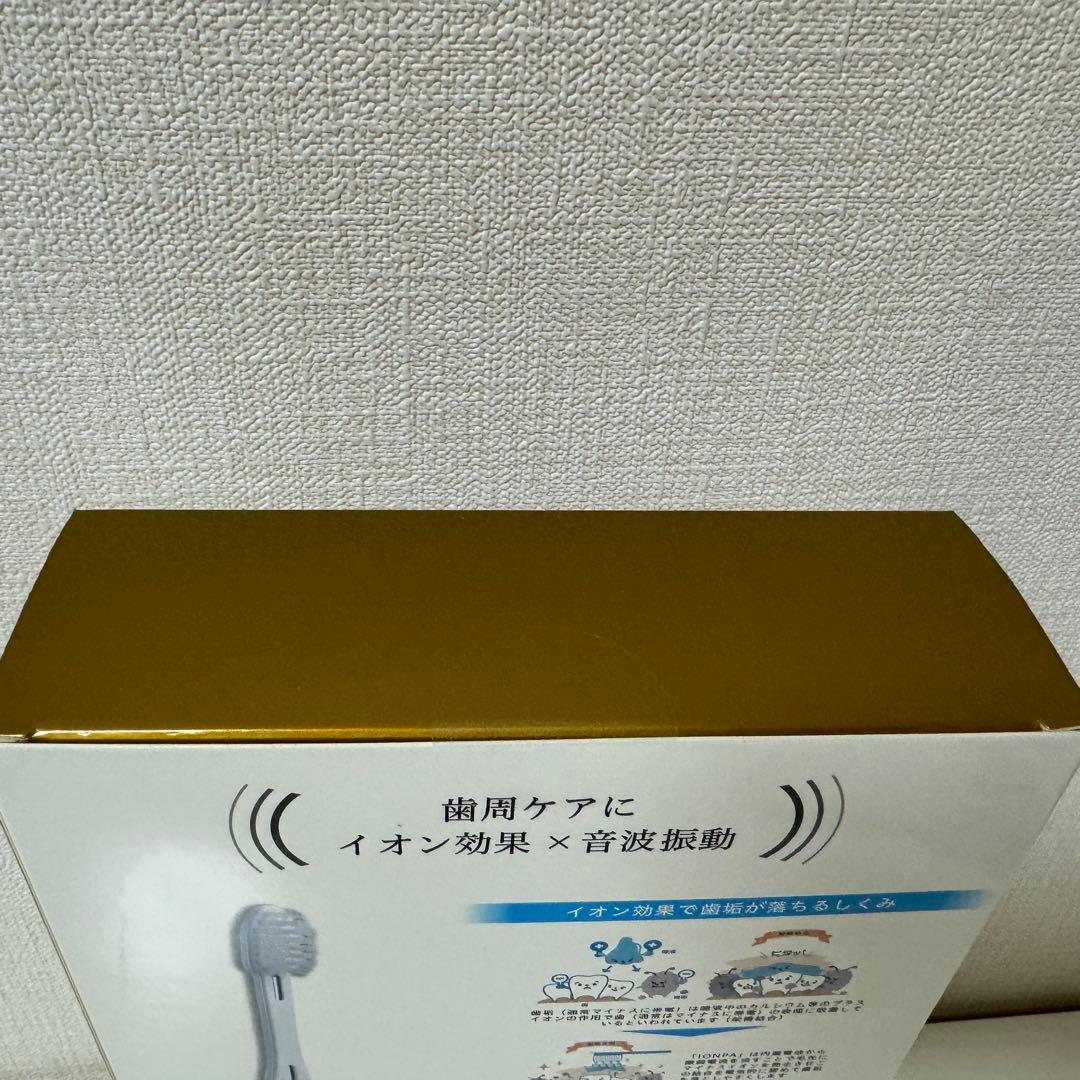 イオンパ IONPA DP-121 PW アイオニック 電動歯ブラシ