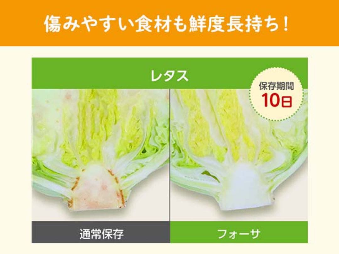 フォーサ　真空バッグ　スターターセット　真空バッグ全140枚