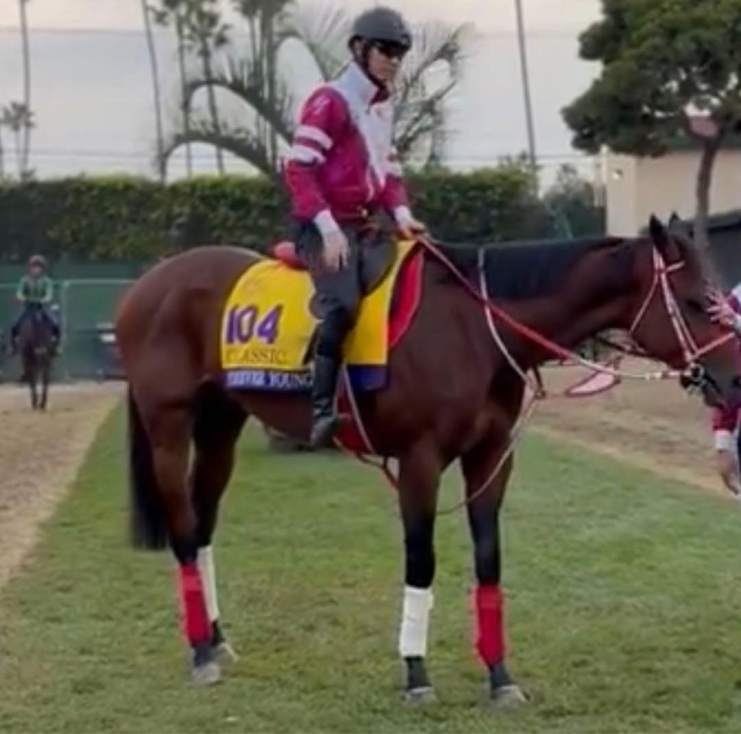 フォーエバーヤング ジャージ