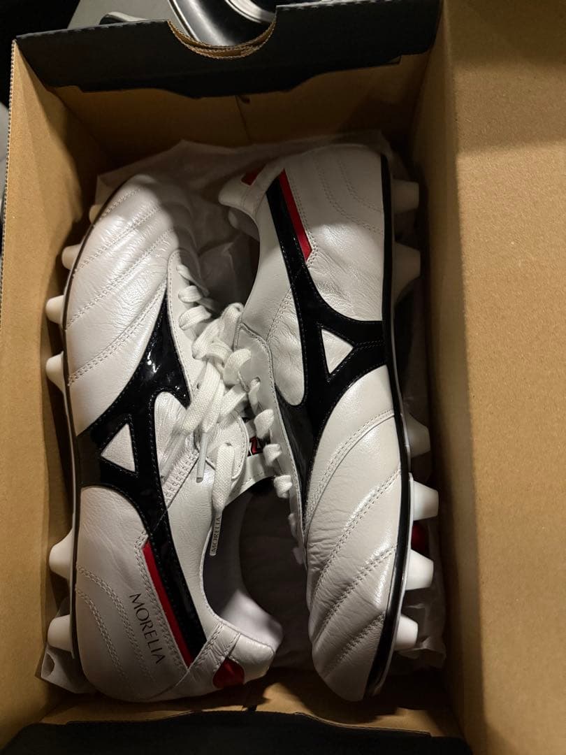 モレリア2 Japan 値下げ不可