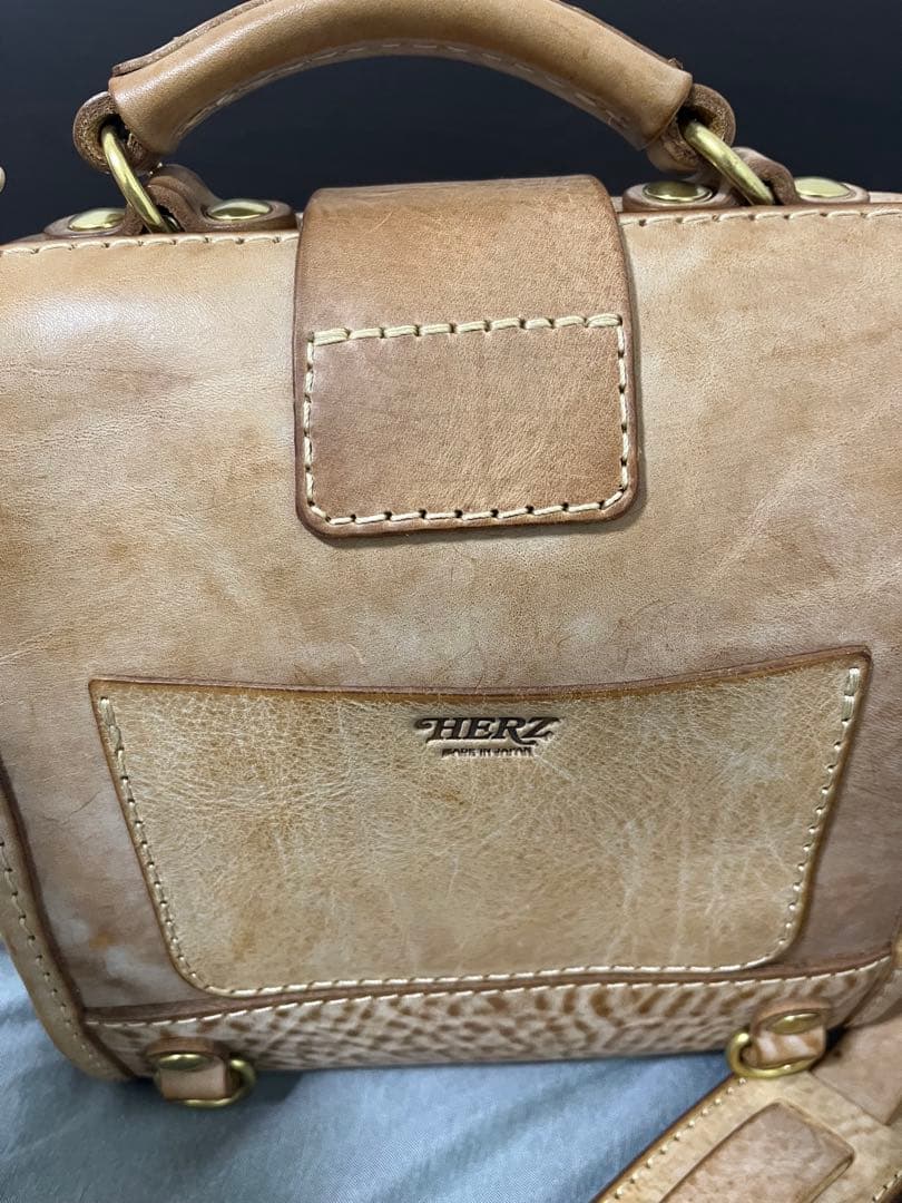 ヘルツ　ルドミニョン