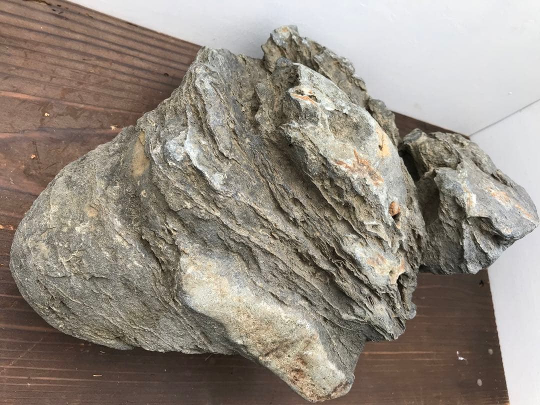 【水石】銘石 加茂川『真黒石』　加茂川石