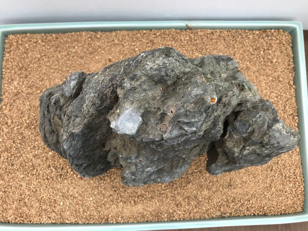 【水石】銘石 加茂川『真黒石』　加茂川石