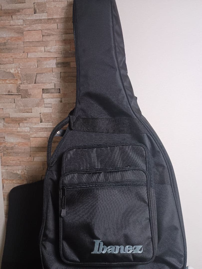 ☆ut【️手渡しのみ】Ibanez EHB1505MS PLF ケース付き