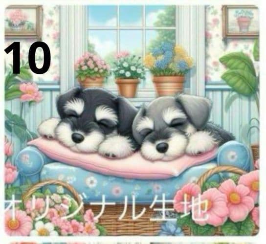 りんりん様過去パネル☆