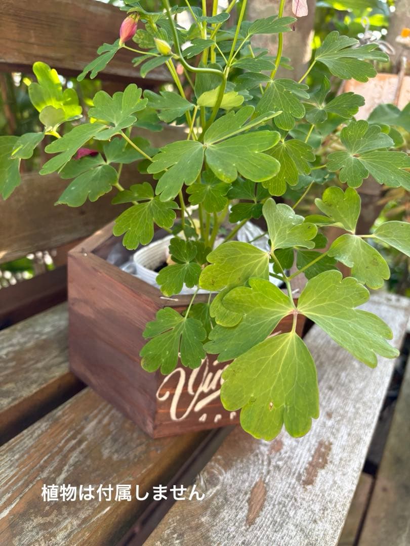 ウッドプランター ４点　６角形　ハンドメイド