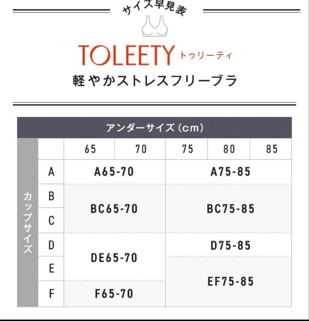 TOLEETY 5点セット ブラEF75-85 ショーツL