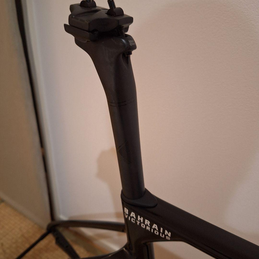 キノコ　メリダ スクルトゥーラ　 バーレーンヴィクトリアス