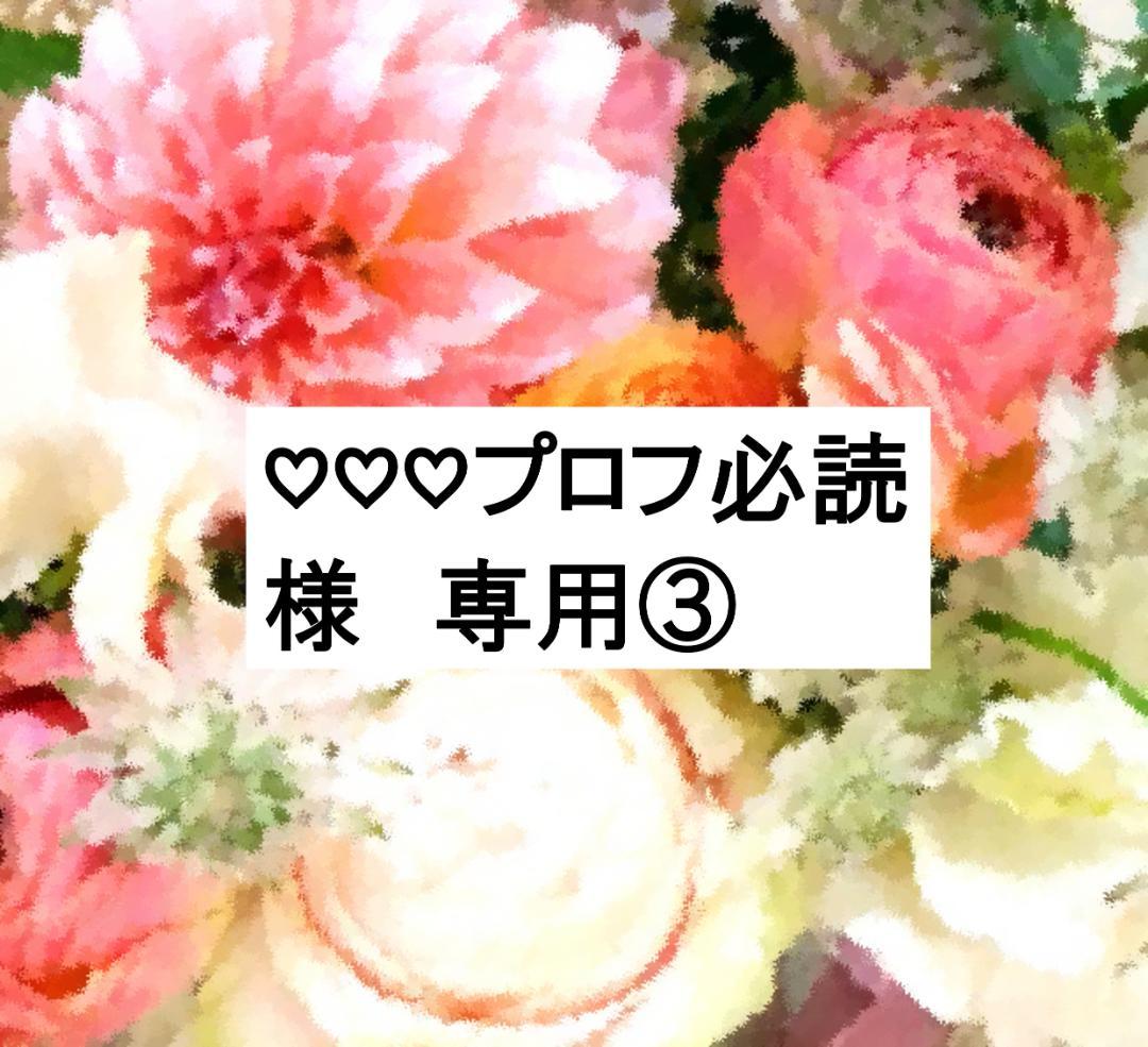 ♡♡♡プロフ必読③ ディスク全未開封 2023年 最新版フルセット DWE