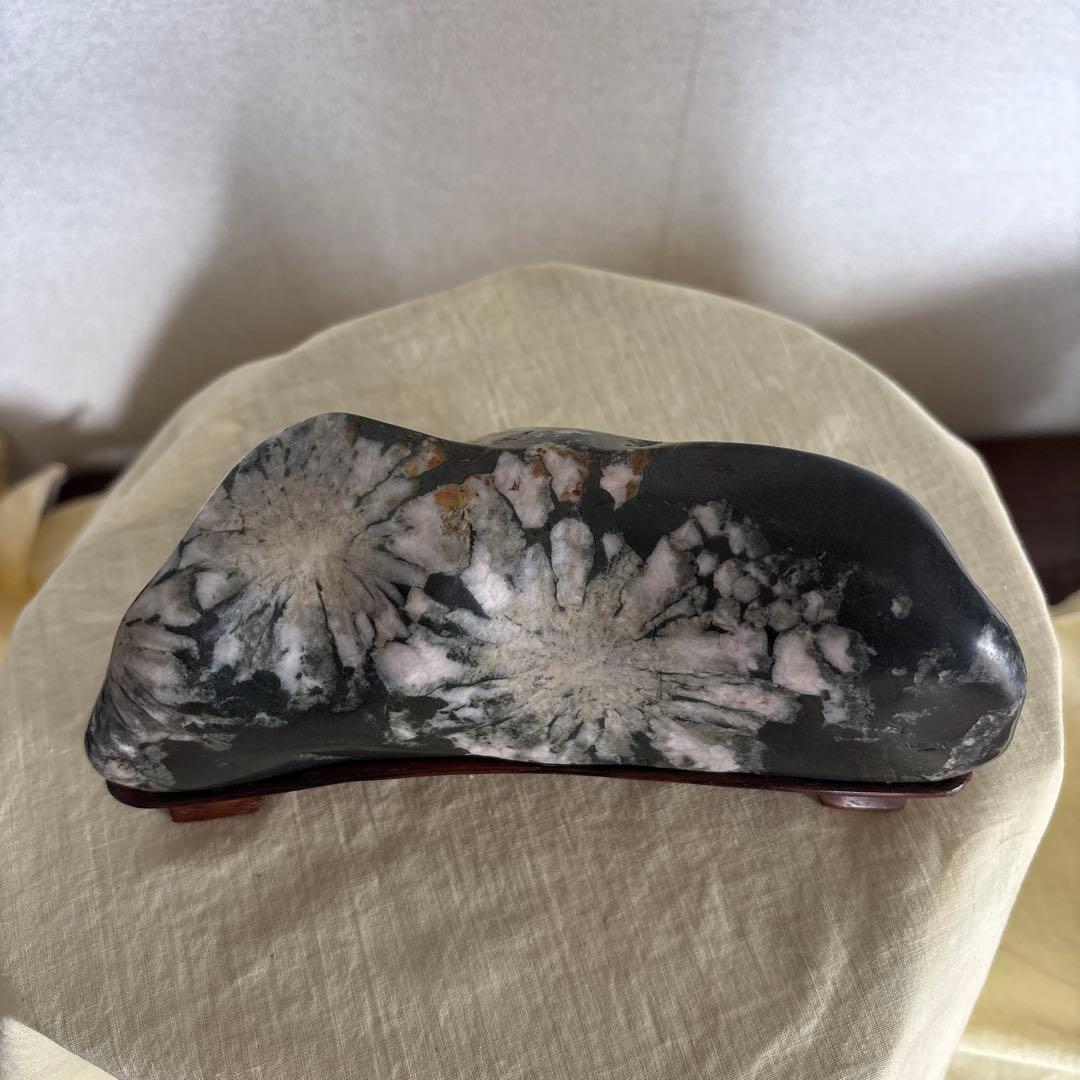 菊花石、菊石、水石、盆石、盆栽、置物 　お値下げしました。