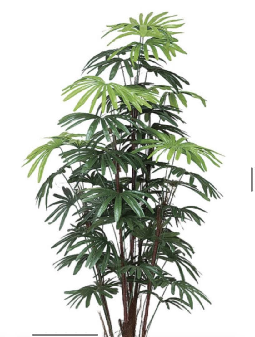 光触媒　人工観葉植物　ウォールグリーン　フェイクグリーン　シュロチク 1.6m