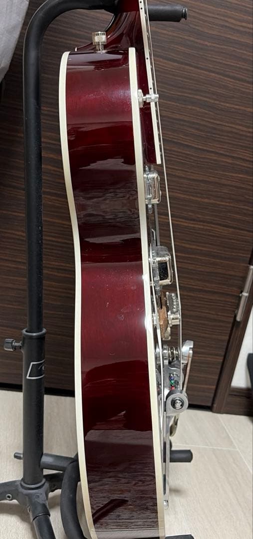 Gretsch G5420T 専用ハードケース付き 2025の4月新品購入