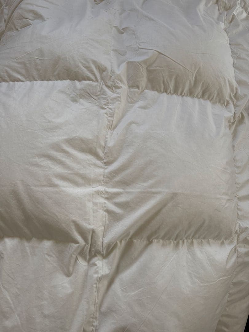 超軽い! ポーランド産ホワイトグースダウン羽毛布団ダブル900g